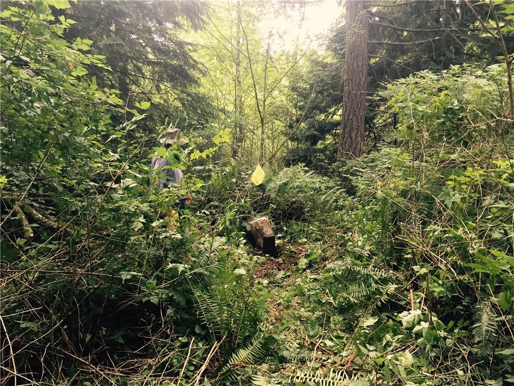522 No Name Rd - Photo 1