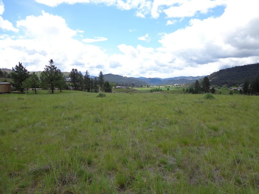0-Lot 13 Herron Loop Rd - Photo 1