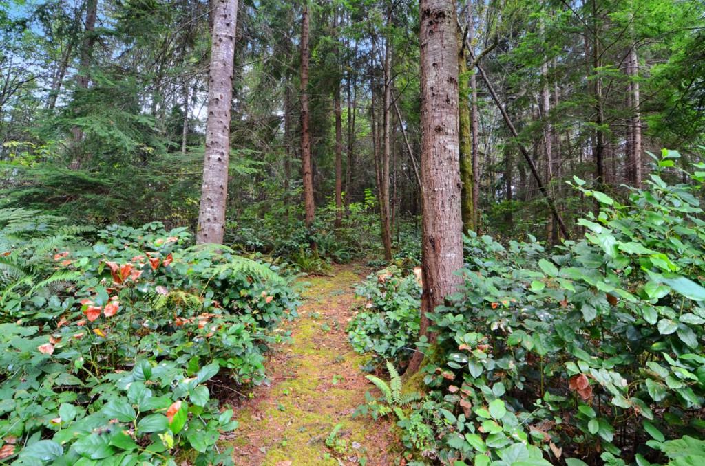 0-Lot D Gamble Bay Rd - Photo 1