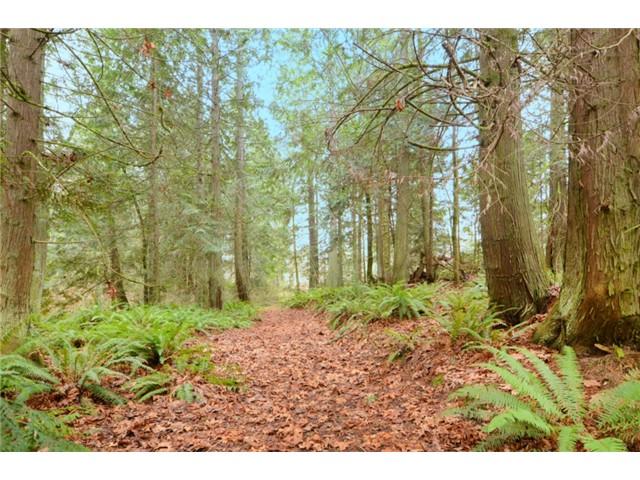 0-Lot B Gamble Bay Rd - Photo 1