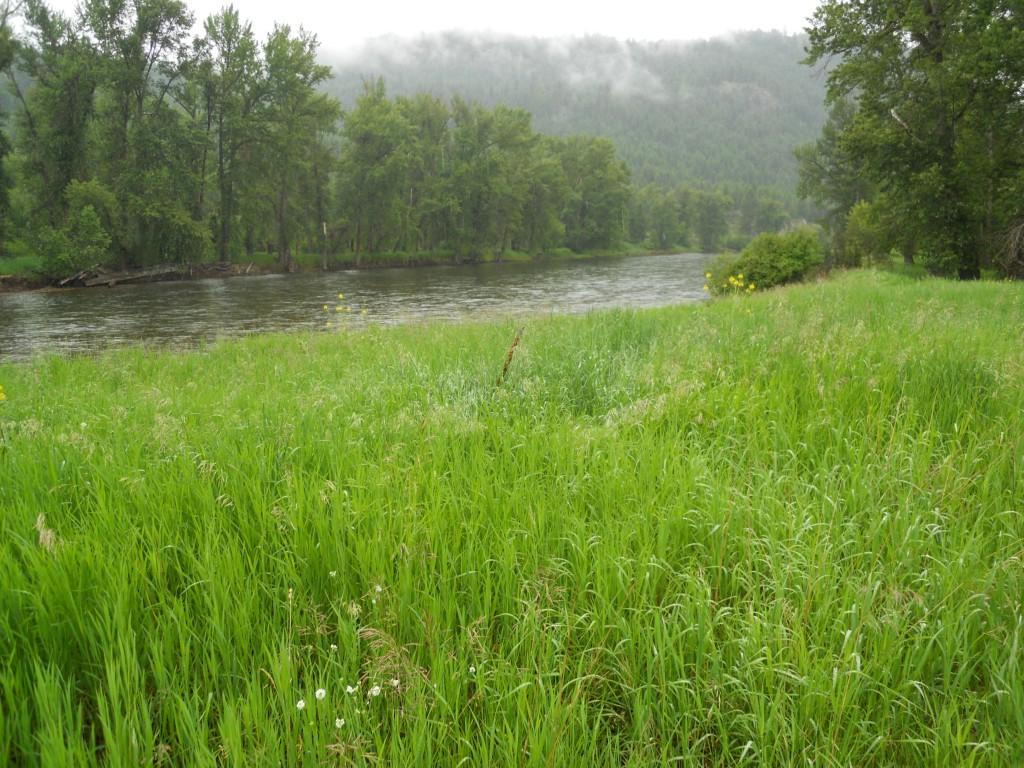 0-Lot A Customs Rd - Photo 1