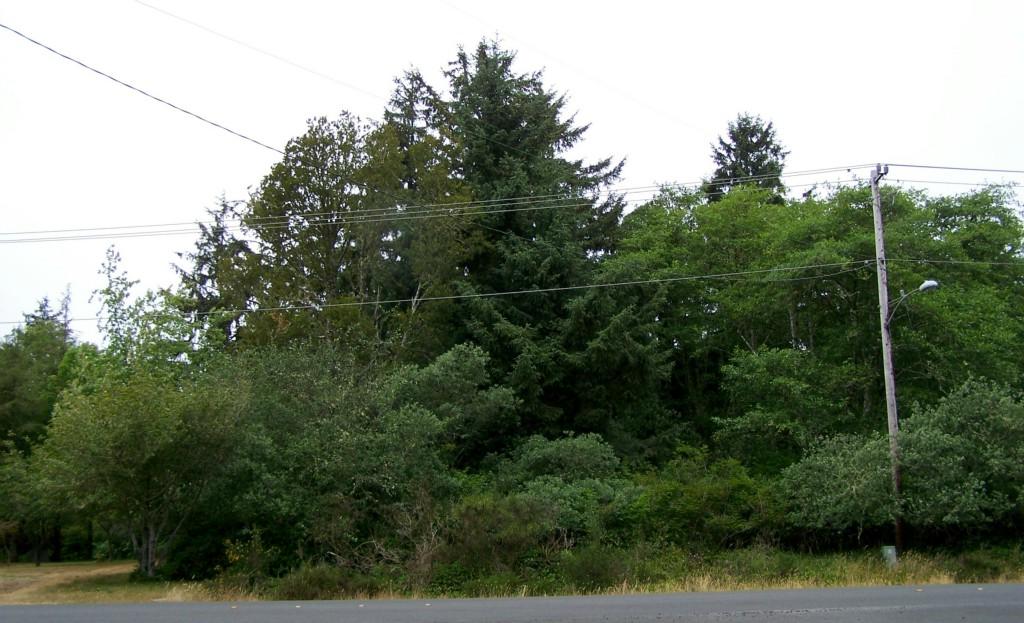 725 Mt Olympus Ave - Photo 1