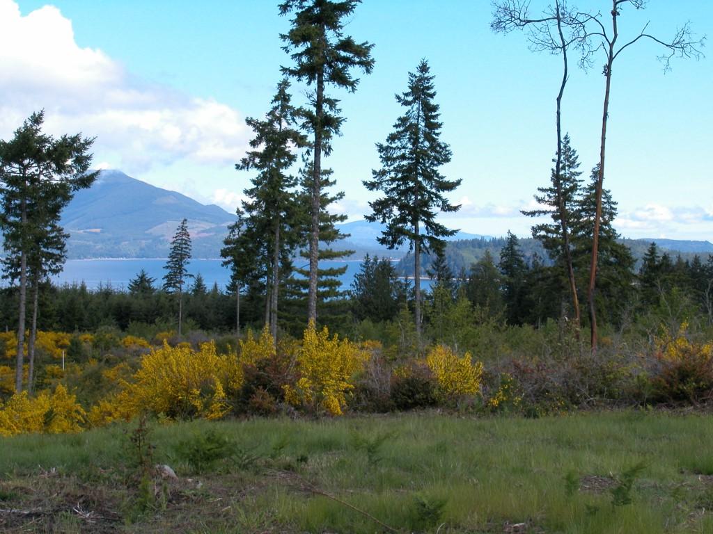 0 Lot 9 Pioneer Rd - Photo 1