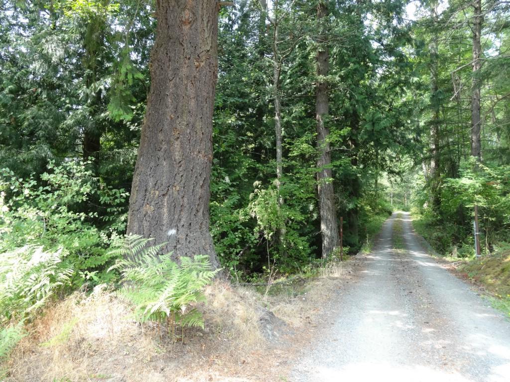 0 Smith Rd - Photo 1