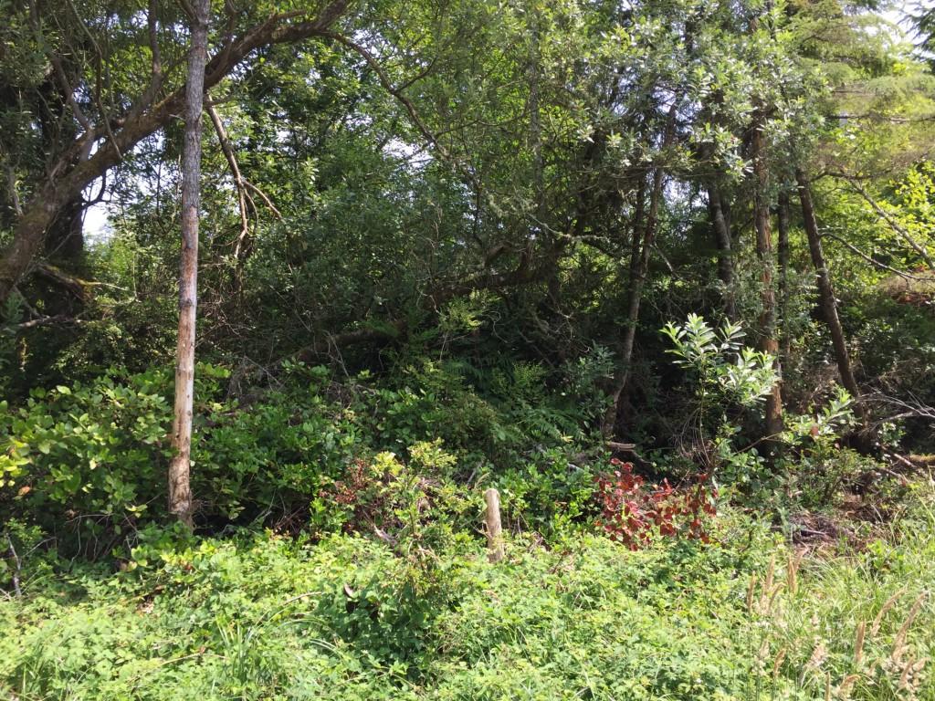 30900 M Place - Photo 1