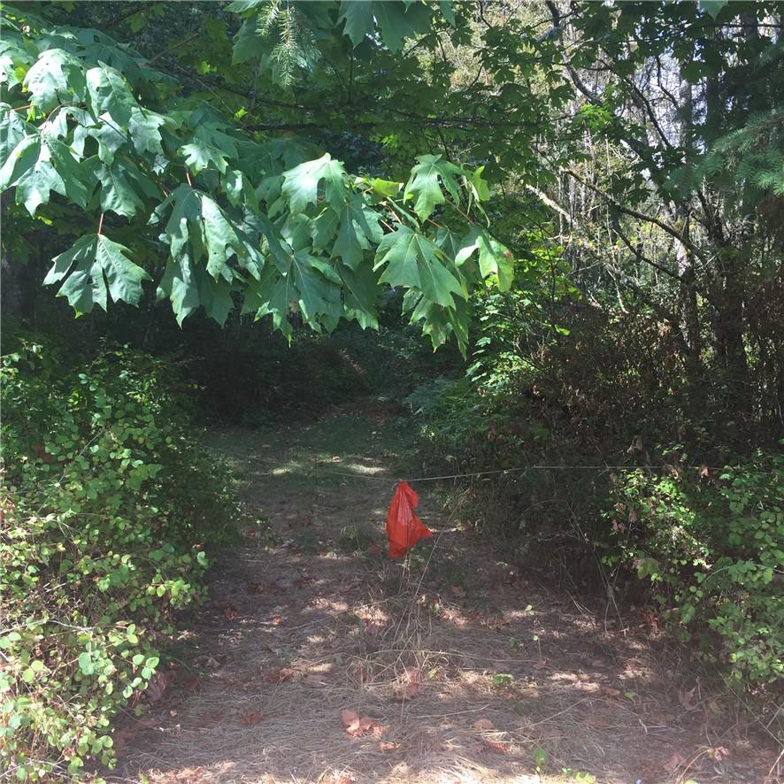 0 Sunrise Blvd. - Photo 1