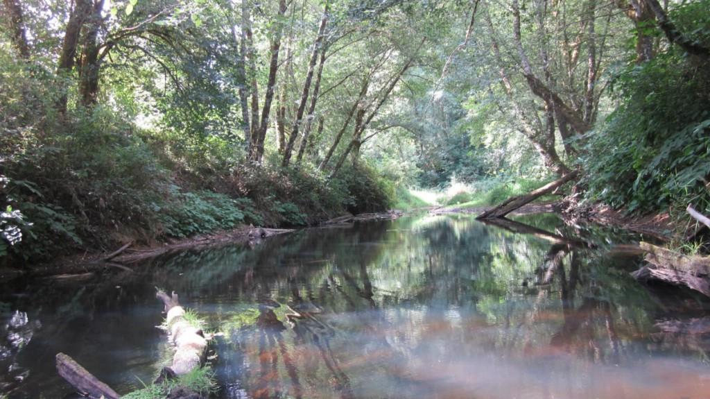 120-Lot 3 Brim Creek Rd - Photo 1