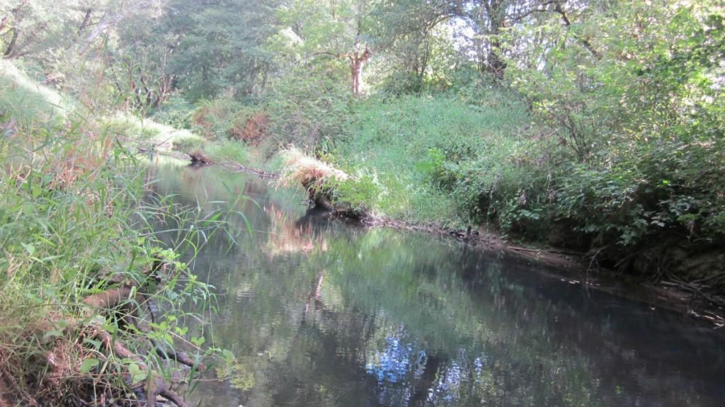112 Brim Creek Rd - Photo 1
