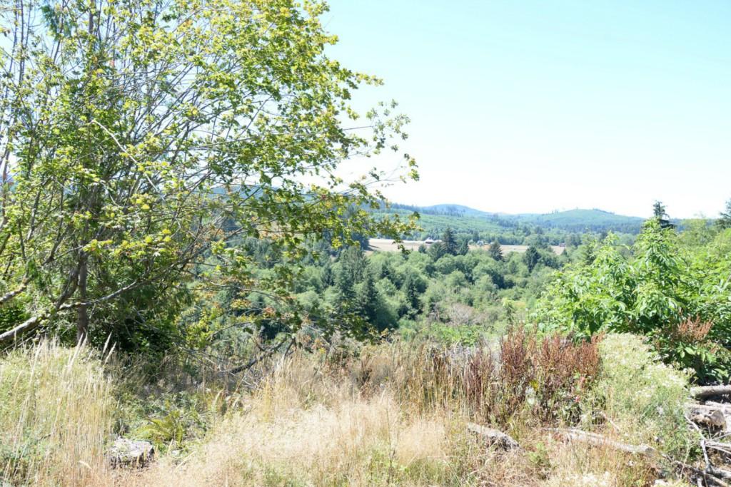 0-XXX Fork Lane - Photo 1