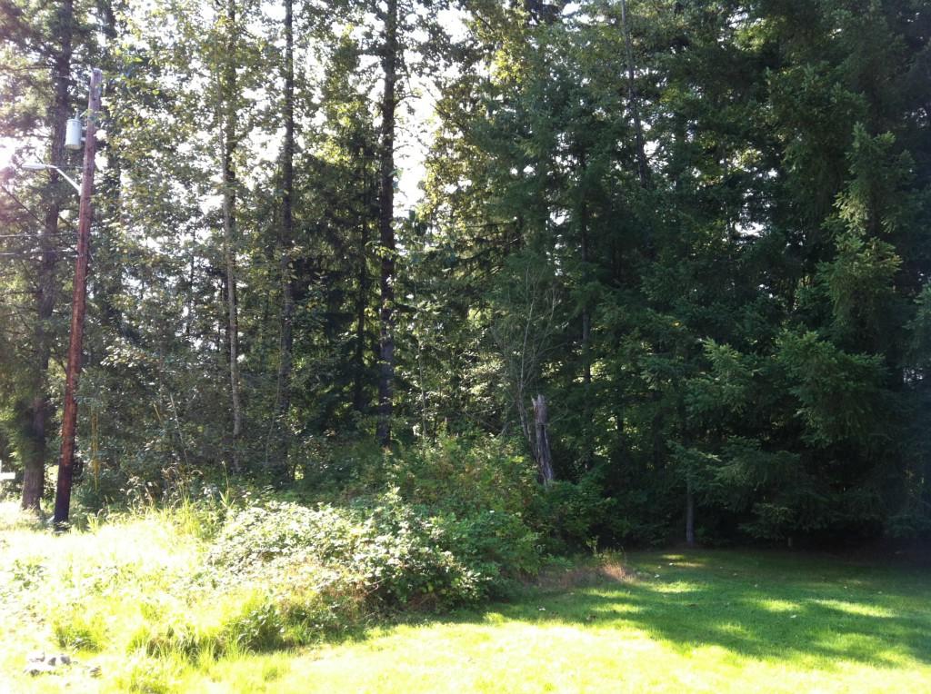 11914 169th Dr - Photo 1