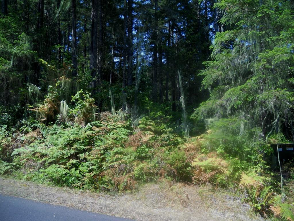 680 Dow Creek Rd - Photo 1