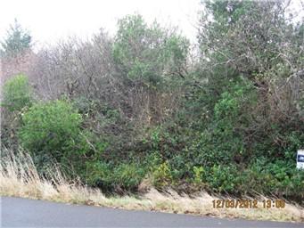 454 Sextans Ave - Photo 1