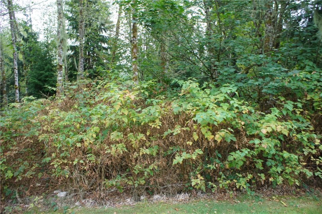 23315 River Rd - Photo 1