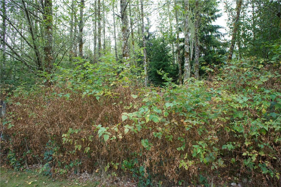 23321 River Rd - Photo 1