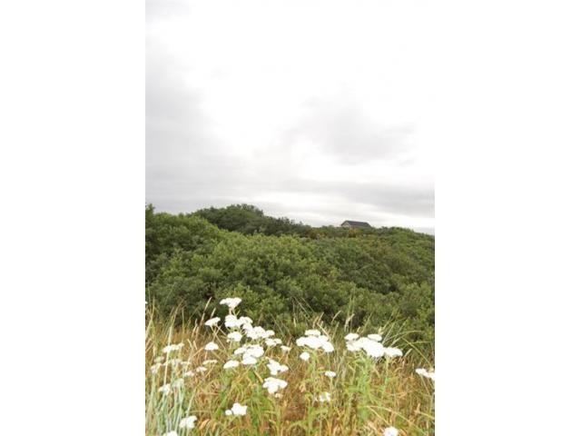 1437 Kailua Ct - Photo 1