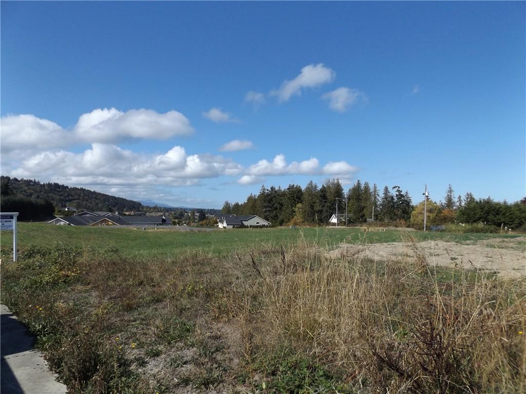 9999-Lot 102 Jones Farm Rd - Photo 1