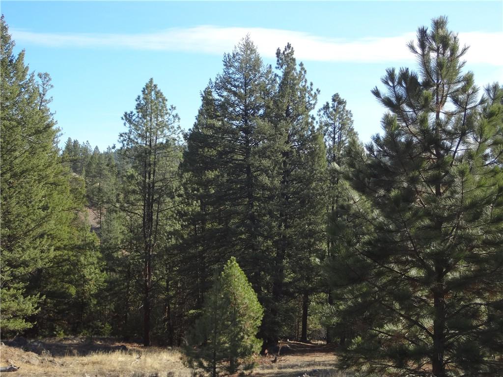 0 Lot 102 Cape Labelle Ranches - Photo 1