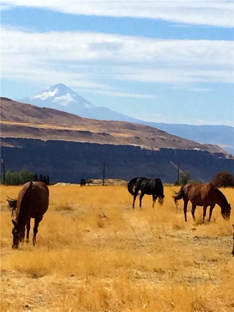 8233 Highway 14 - Photo 1