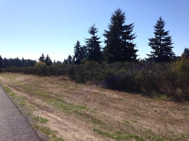 0 Lawton Lane - Photo 1