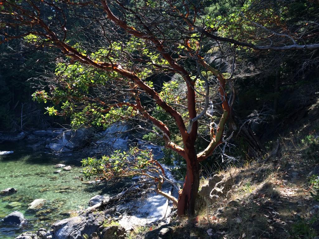 0 Paradise Lost Wy - Photo 1