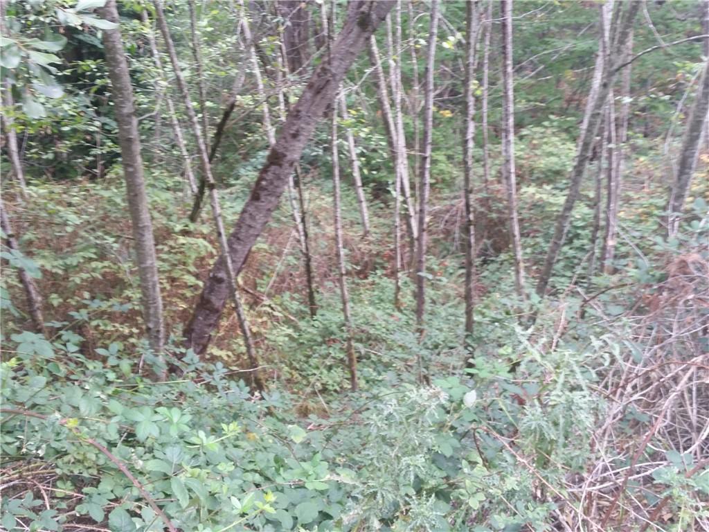 105 Solo View Dr - Photo 1