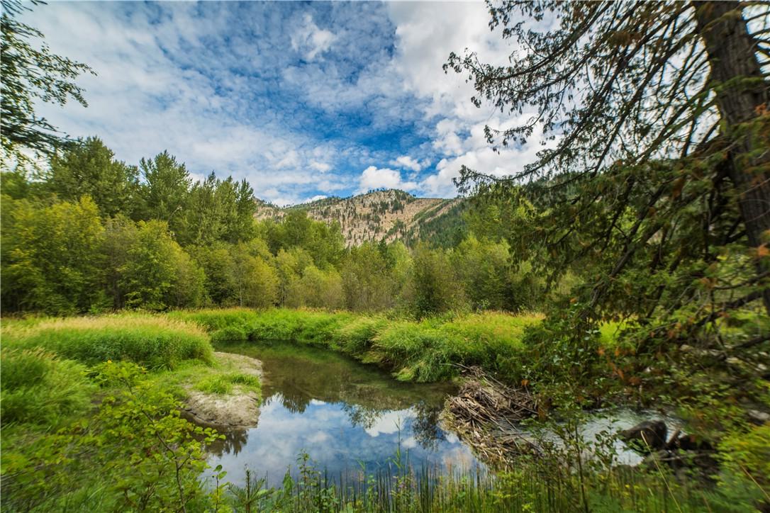 15795 Coyote Falls Rd - Photo 1