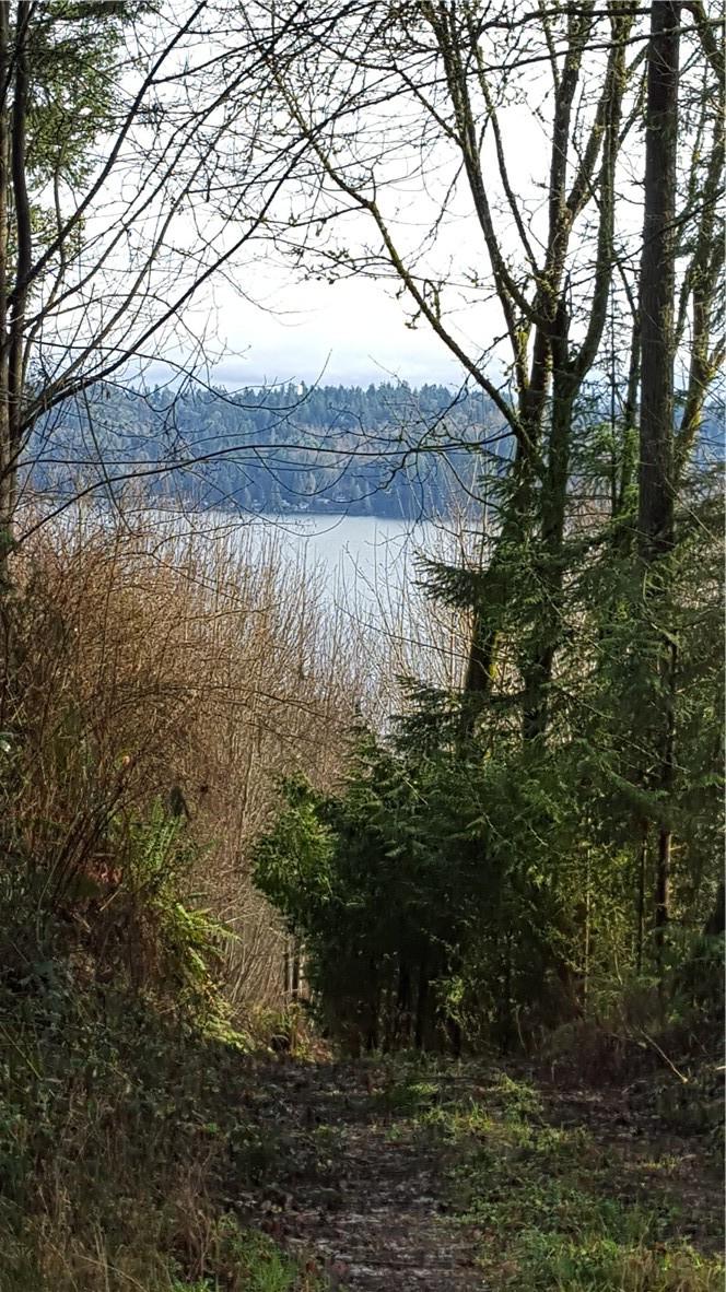 0 Se View Park Rd - Photo 1