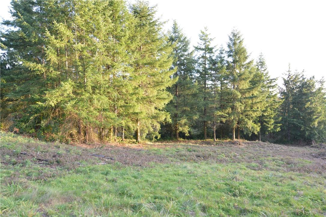 137 English Lane - Photo 1