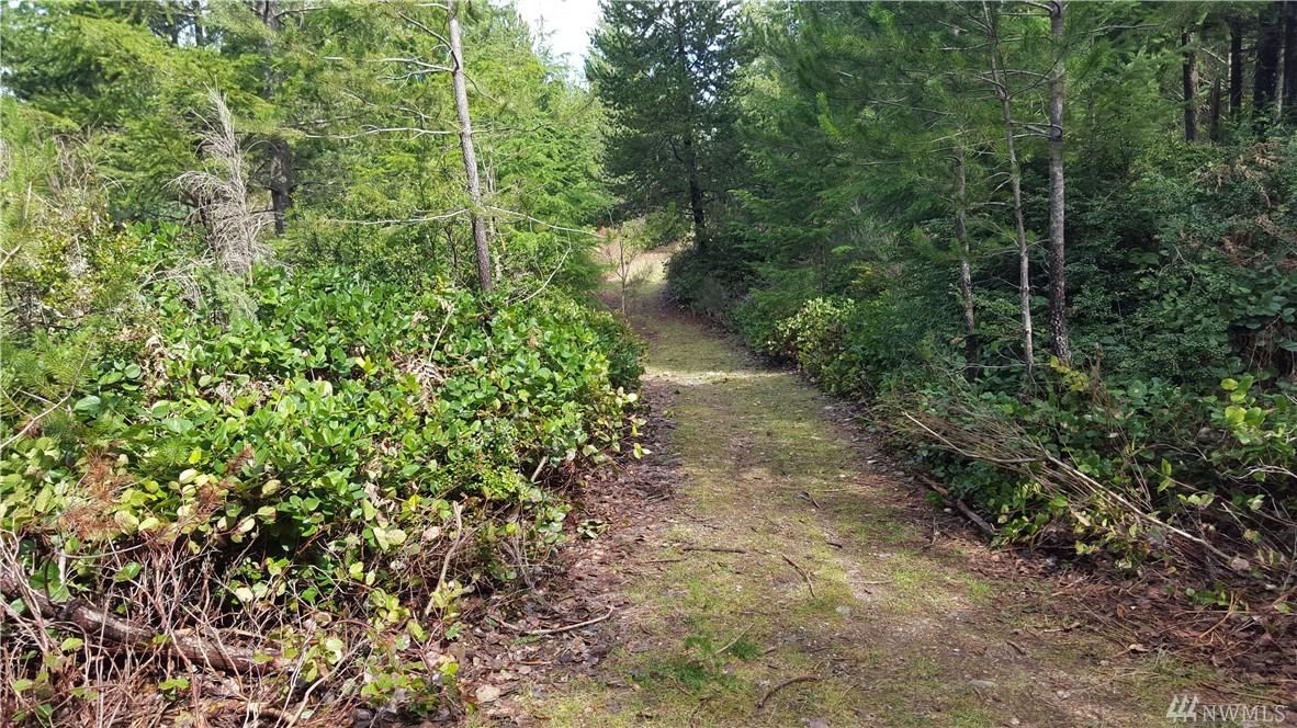 17-.78 acre Eldorado Blvd - Photo 1