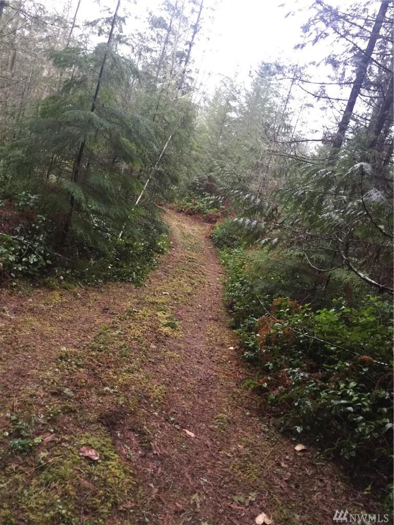 0-xxx Rockport Cascade Rd - Photo 1