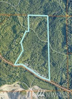 357-XX Se Courtney Road (Lot D) - Photo 1