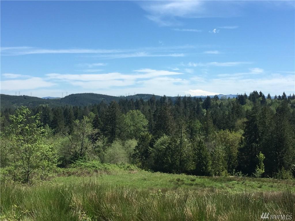 0 Seminary Hill - Photo 1