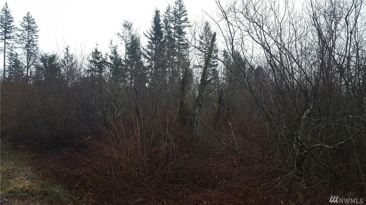 0 Anderson Hill Rd - Photo 1