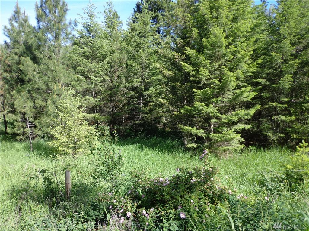 0-Lot 80 Lambert Cr Rd - Photo 1