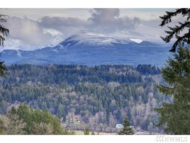 11207 244th Ave - Photo 1