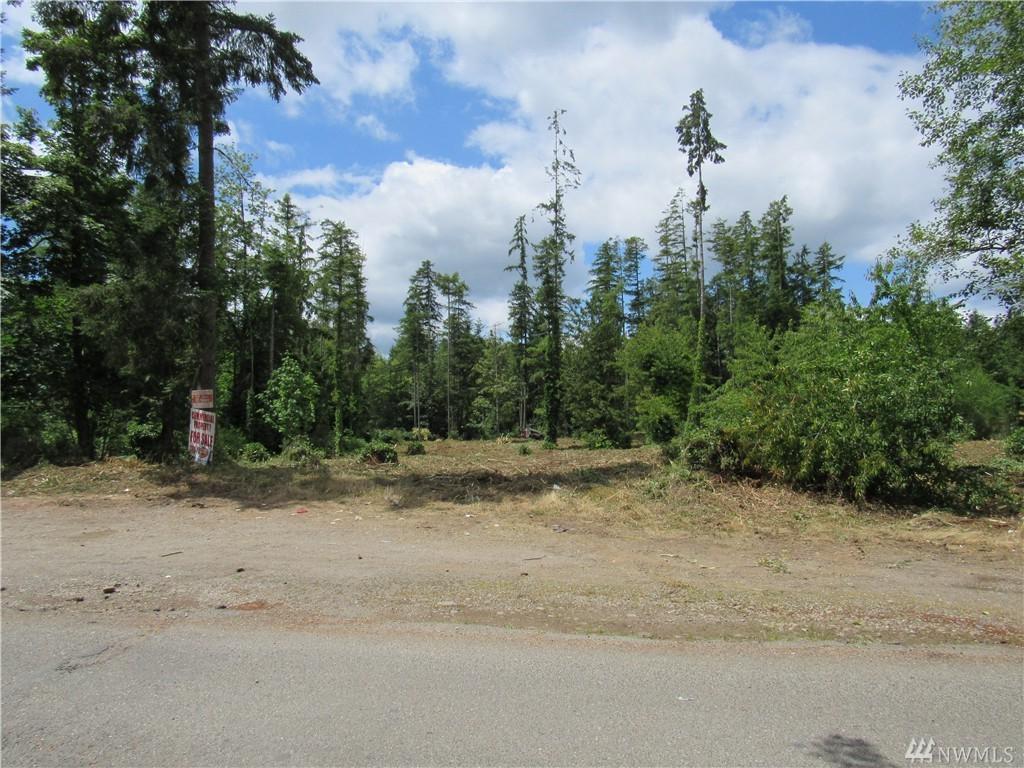1-.78acres Holly Rd - Photo 1