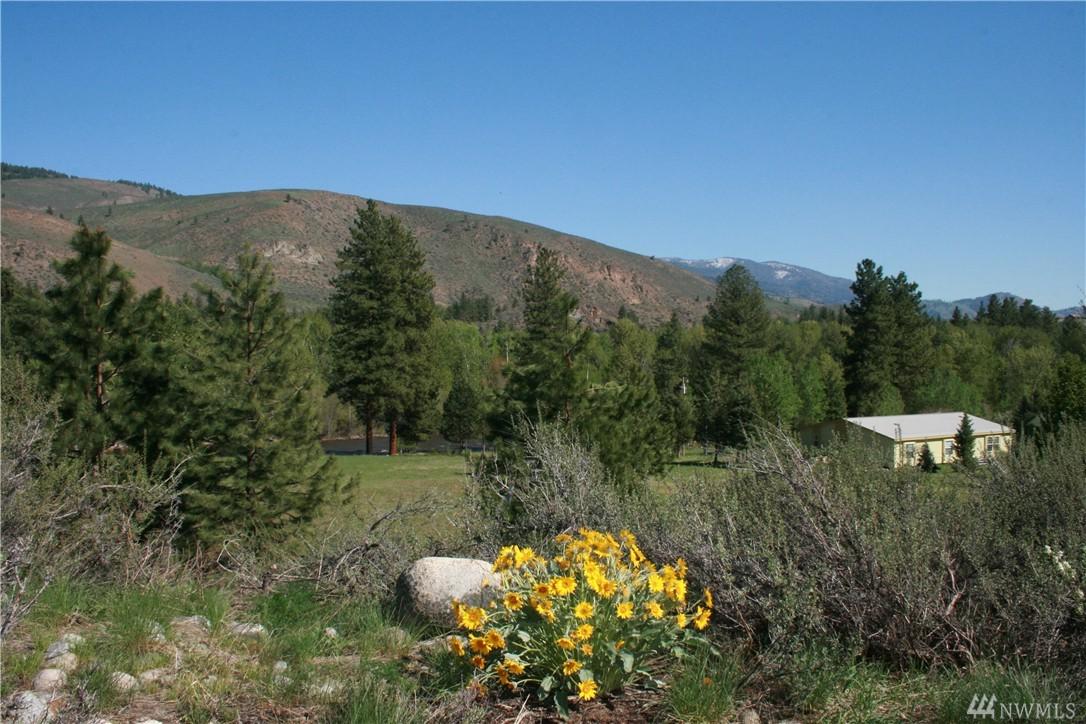 0-XXX West Chewuch - Photo 1