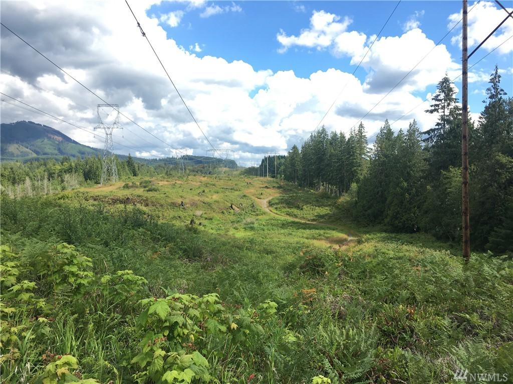 0-Lot 1 Lake Cavanaugh Rd - Photo 1