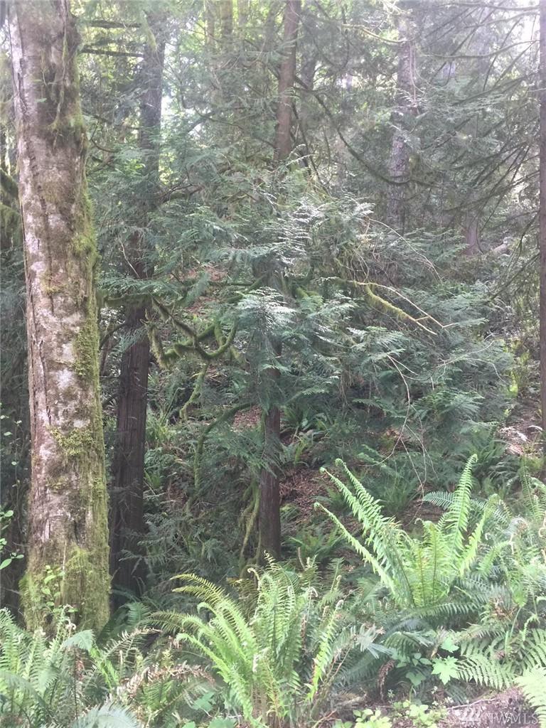 999 Central Valley Rd - Photo 1