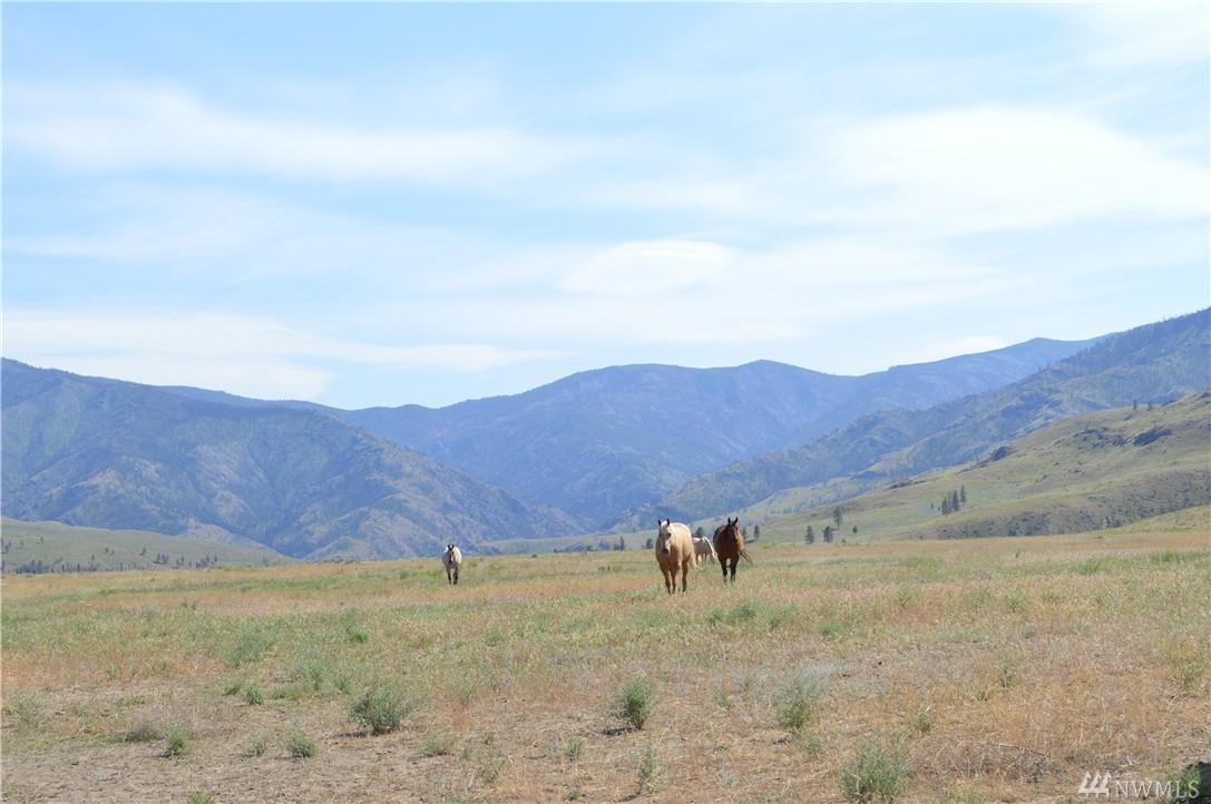 1175 Highway 153 - Photo 1