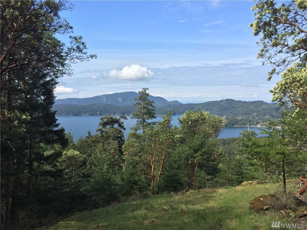 750 Buck Mountain Rd - Photo 1