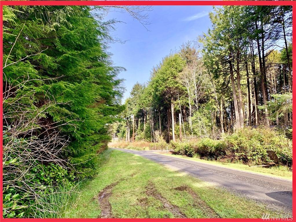 49 Coral Lane - Photo 1