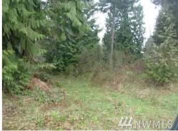 12420 86th Ave - Photo 1