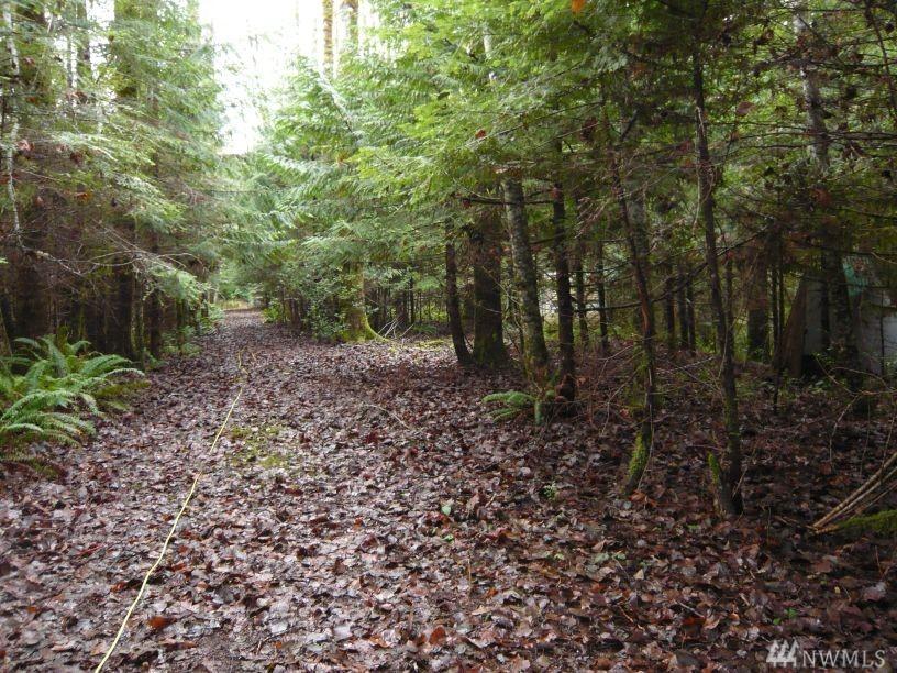 0-NSN Hilltop Ct - Photo 1