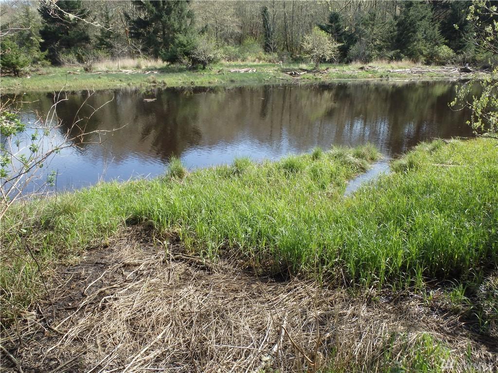 1597 101 Hwy - Photo 1