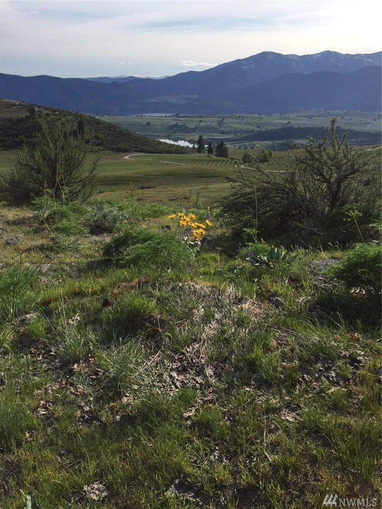 0-NNA Upper Joe Creek Rd - Photo 1