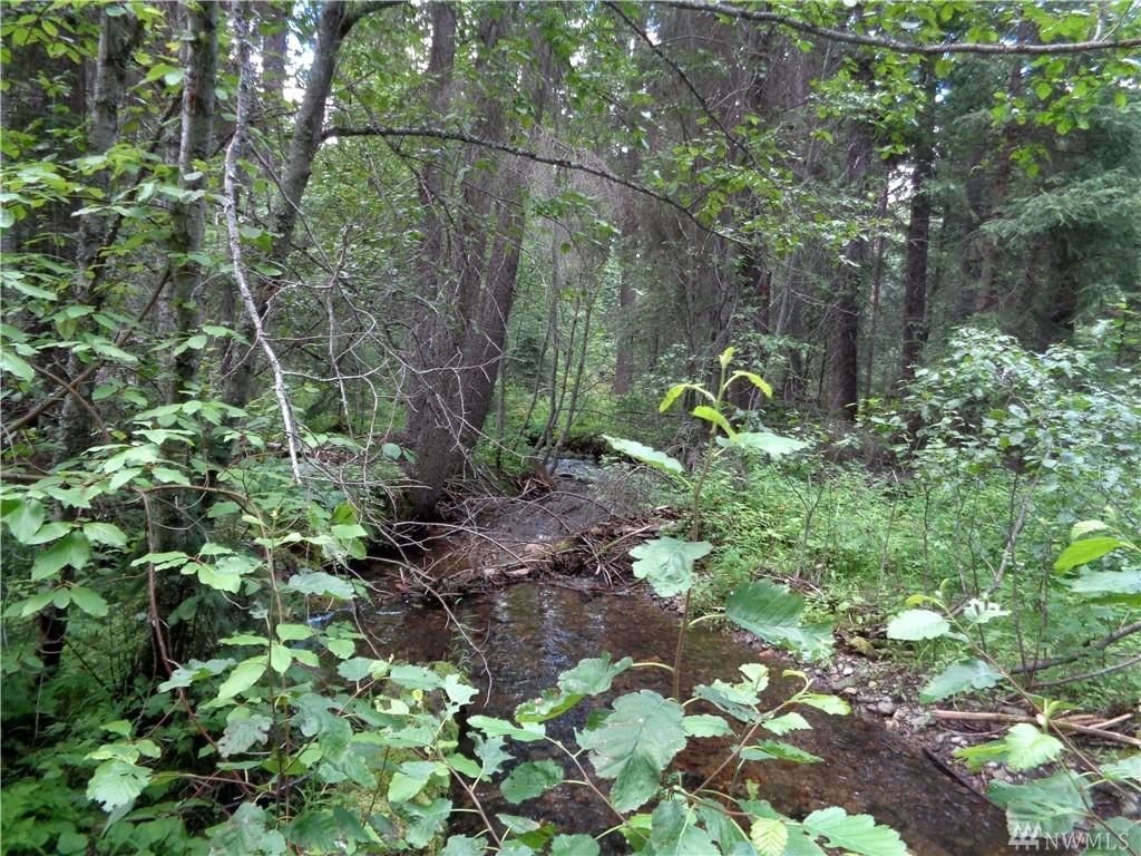 0-TBD Cougar Loop Rd - Photo 1