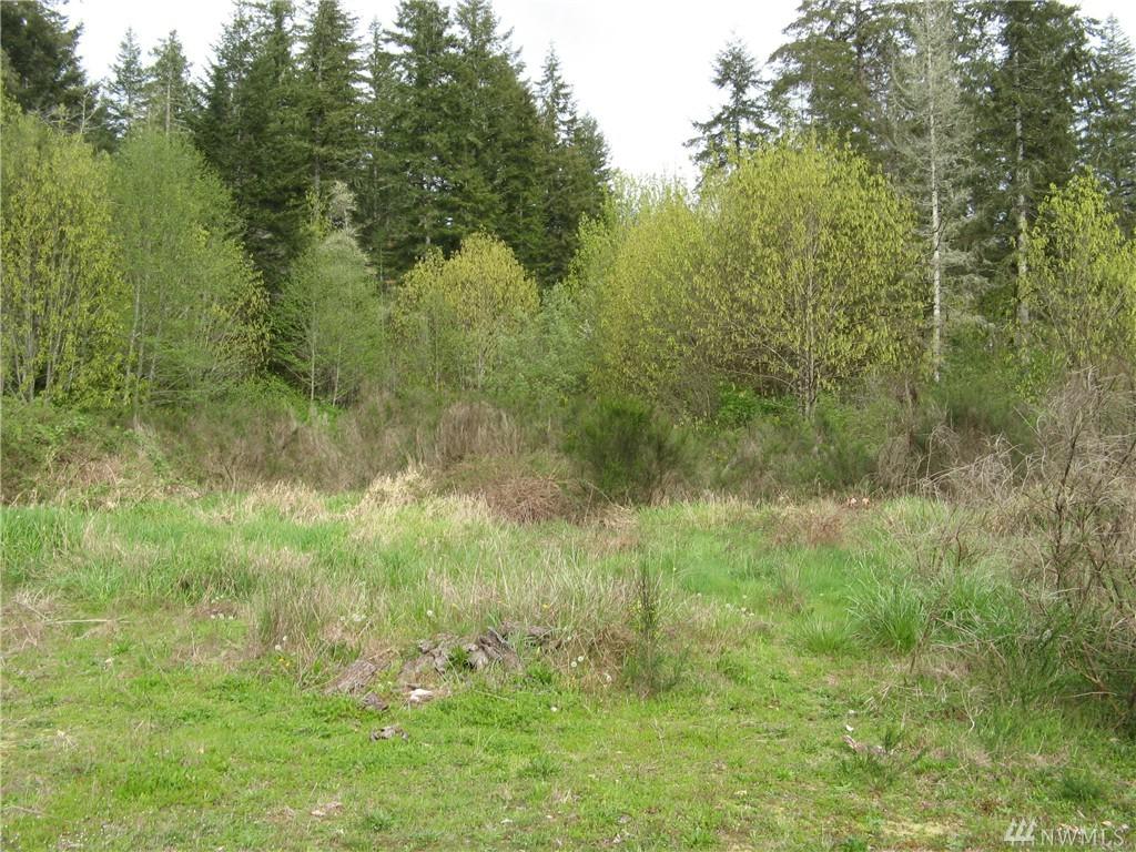 50 Spruce Place - Photo 1