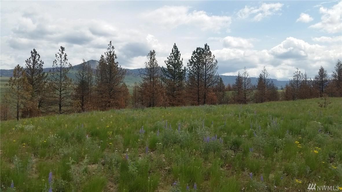 0-TBD Jh Green Rd - Photo 1