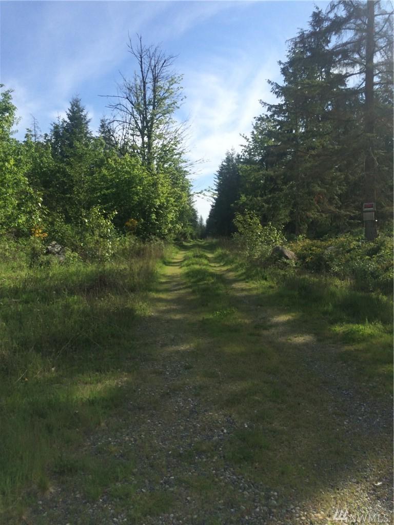 14007 Rainier View Lane - Photo 1